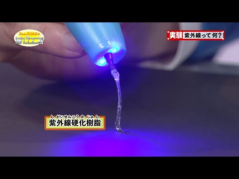 紫外線って何？／What Is Ultraviolet Light?