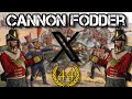 Cannon Fodder X