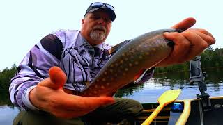 Backlake Brookies