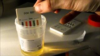 Drug Testing Kit Demonstration - How to Drug Test