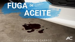 Como detectar Fugas de Aceite de Motor VW Vento | Armando Carros by Armando Carros 3,469 views 3 months ago 10 minutes, 25 seconds