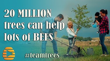 Planting 20,000,000 trees can save lots of bees - Save the planet 2019 - MrBeast idea