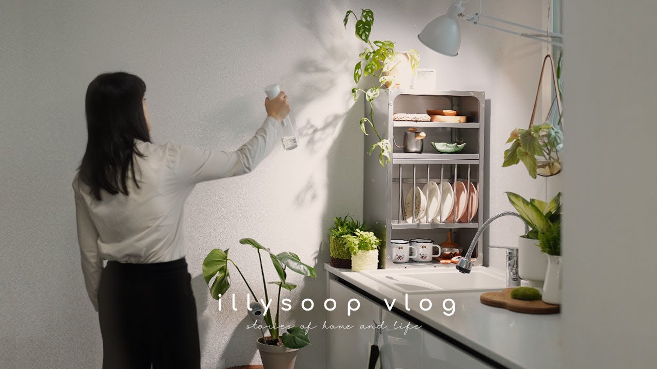 Преобразите свое пространство с эстетическим плантериором 🌿 50 советов по уходу за растениями зимой