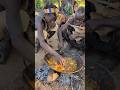 It S Breakfast Time See Hadza Hunt S Enjoying Lovely Meal Amazing Nutrition Food Hadzabetribe