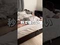 帰宅後、秒で寝たいだけのOL #olルーティン #社会人vlog #ナイトルーティン #社会人 #一人暮らしvlog #vlog #shorts #アラサー
