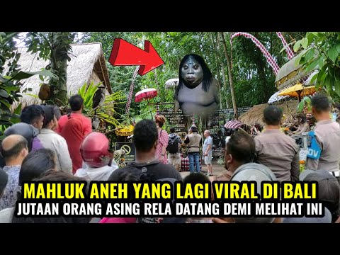 mahluk aneh yang lagi viral di bali jutaan orang asing rela datang demi melihat ini