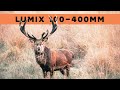 Taking the Lumix 100-400mm for a spin