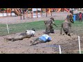 In the mud with Greenwood Elementary students
