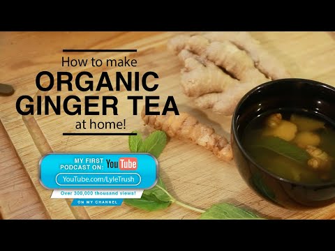 Como fazer ORGÂNICO chá de gengibre em casa! ???? ☕️