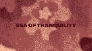 David Duchovny - &quot;Sea of Tranquility&quot; (Official Audio)