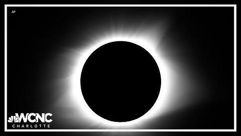 Animal behavior during a solar eclipse