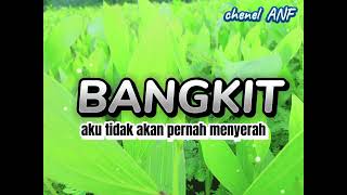 Bangkit-aku tidak akan pernah menyerah musik lagu terbaru 2025