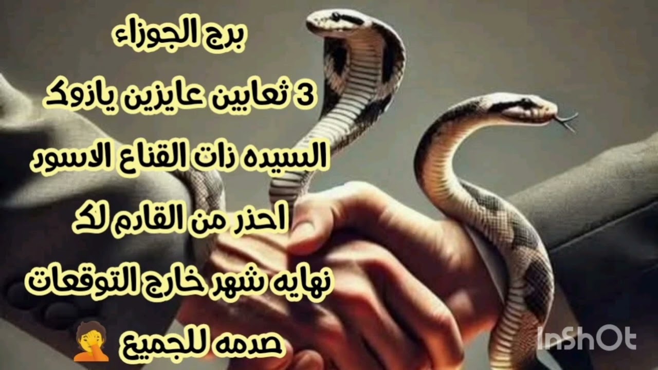 برج الجوزاء 25 مايو 2025// 3 ثعابين عايزين ياذوك 💫 السيده ذات القناع الاسود 💫احذر من القادم لك