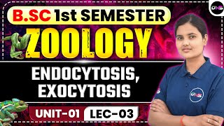 B.Sc 1st Semester Zoology | Cellular Junctions | BSc 1st Semester Unit-1st Endocytosis Exocytosis