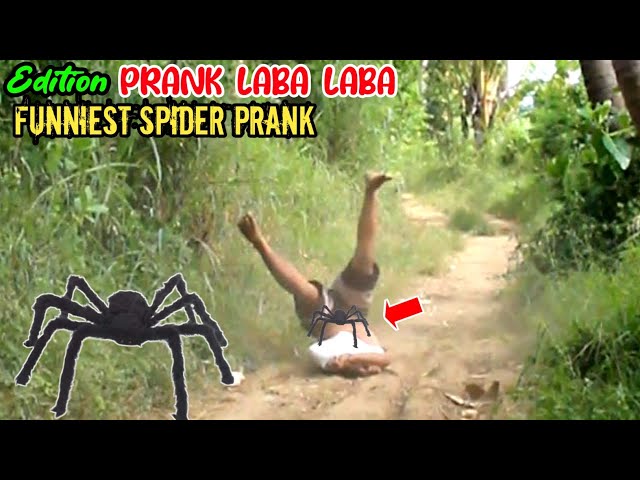 Video Lucu || Funniest Spider Prank || Edisi Terbaru Prank Laba Laba Bikin Ngakak 🤣🤣 class=