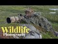 1 DAY SOLO CAMPING AND WILDLIFE PHOTOGRAPHY ON AN ISLAND | campfire, camouflage, fishing
