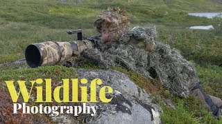 1 DAY SOLO CAMPING AND WILDLIFE PHOTOGRAPHY ON AN ISLAND | campfire, camouflage, fishing