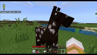 Minecraft Survival #2