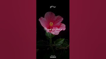 وترى الأرض هامدة ، #سورة_الحج بصوت #الشيخ_ياسر_الدوسري #al1thekr #kuran #quran_alkarim #quran #قرآن