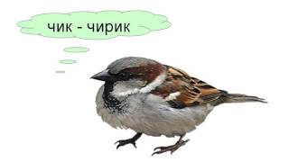 Как говорят животные Как говорят животные