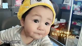 Download Lagu Soal makan Haru No 1 😅 MP3