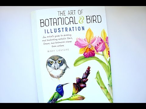 The Art of Botanical & Bird Illustration by Mindy Lighthipe