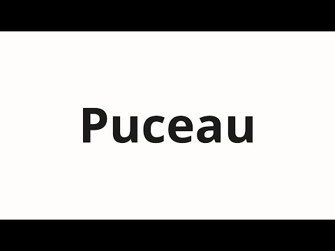 How to pronounce Puceau