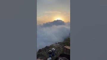 قال رَبّ إِنِّي وهن العظم منِّي واشتعل الرَّأْس شيْبًا ولَم أَكن بِدعائك رب شقيًّا سورة مريم
