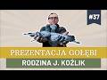 Prezentacja gołębi #37 - Bogdan Nieradka - Rodzina J. Koźlik