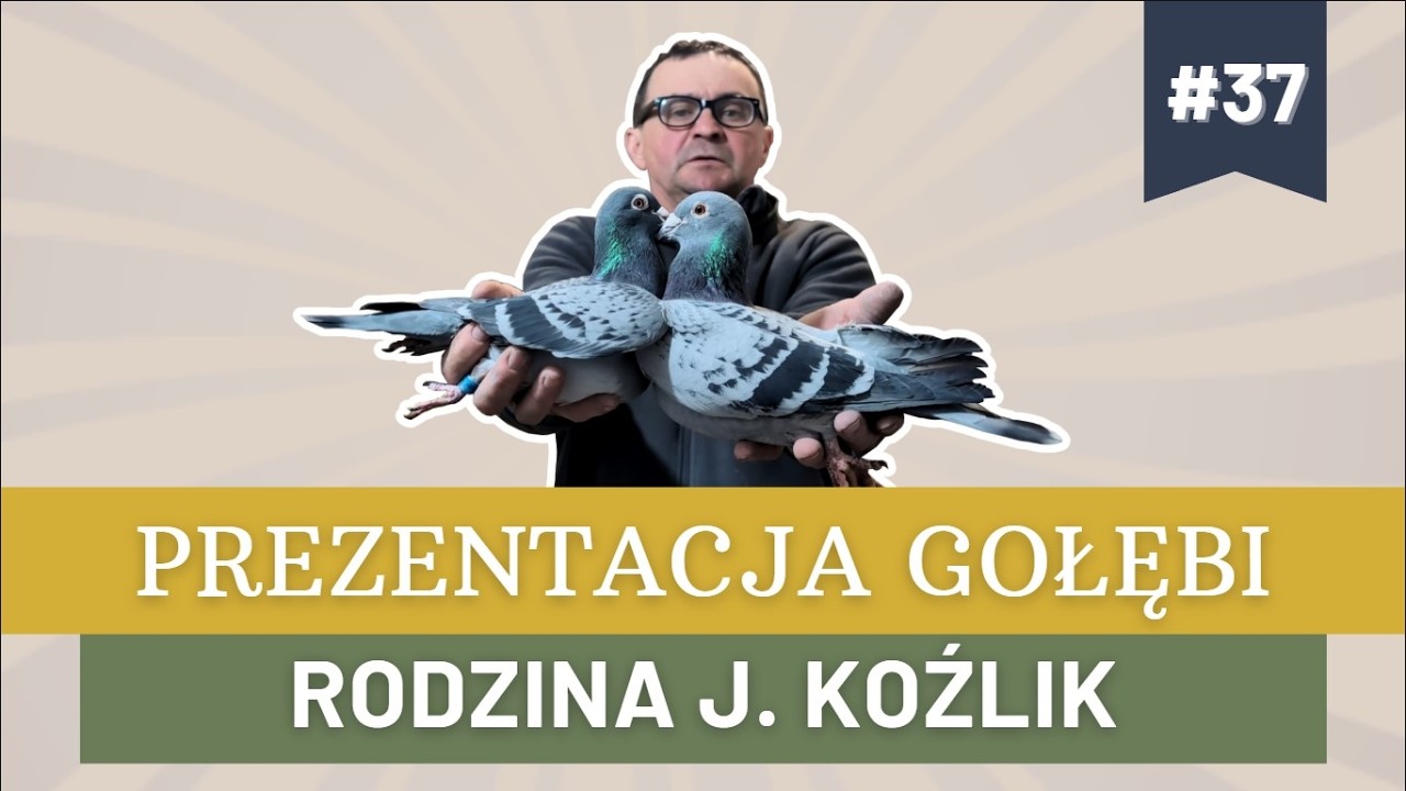 Prezentacja gołębi #37 - Bogdan Nieradka - Rodzina J. Koźlik