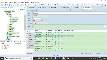 SQL入门教程 第49集 使用INSERT语句增加数据