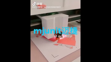 mjunit automatic vision positioning cutting machine/drawing machine XY axis gantry belt guide rail