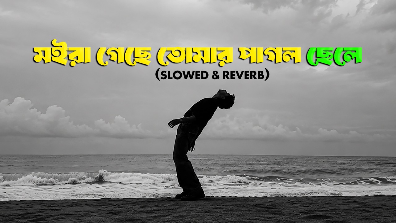 Mago Moira Geche Tomar Pagol Chele | Atif Ahmed Niloy | মাগো মইরা গেছে তোমার পাগল ছেলে | Lofi Remix