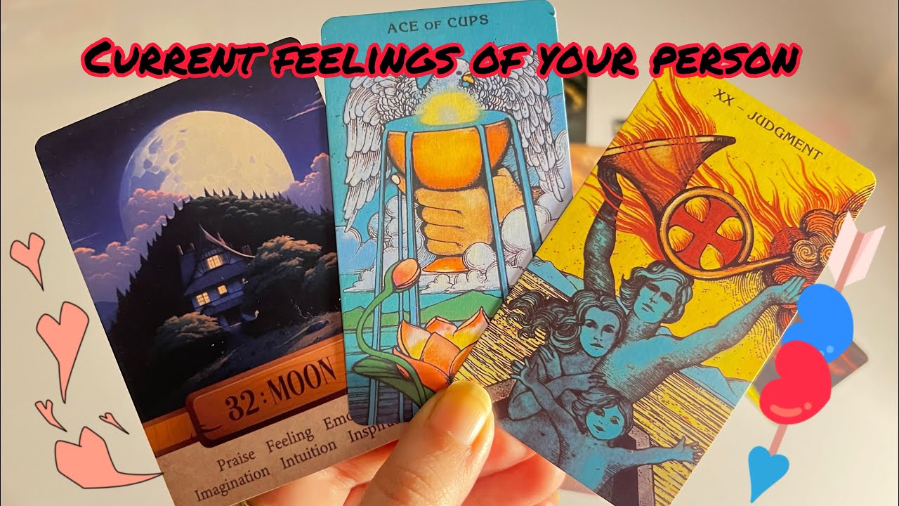No contact current feelings of your person💞Hindi tarot card reading Love tarot reader YouTube