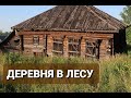 Заброшенные деревни Ярославской области. Множество домов в лесу