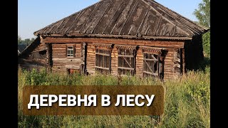 Заброшенные деревни Ярославской области. Множество домов в лесу