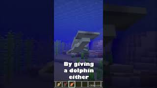 Quick Facts about Minecraft #7