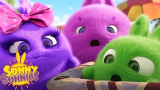 SUNNY BUNNIES COMPILATIONS  THE BEST OF SEASON 3 | Cartoons for Kids