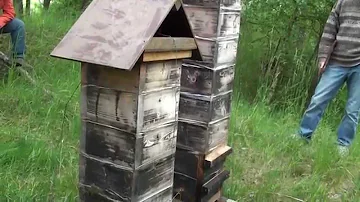 Co je posttraumatická stresová porucha?