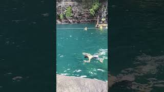 Mermaids
