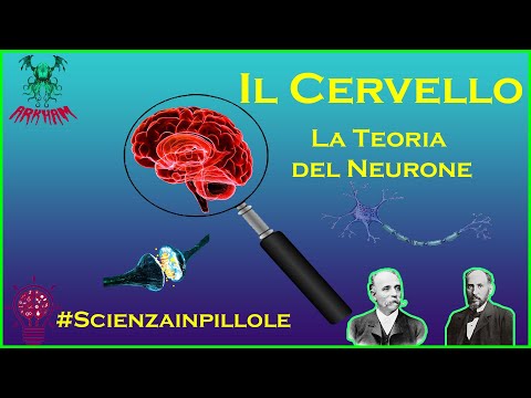 Video: Quale tessuto è presente nel cervello?