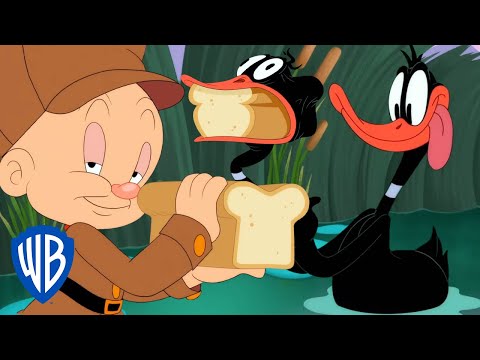 Looney Tunes em Português ?? | Como Pegar um Pato | WB Kids