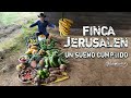 FINCA JERUSALÉN - UN SUEÑO CUMPLIDO - BIOHUERTO.