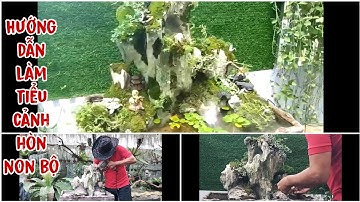 Hướng dẫn làm tiểu cảnh non bộ sân vườn đẹp - Instructions for making beautiful garden landscapes