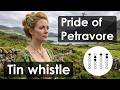 Learn 'Pride of Petravore' on Tin Whistle – Easy Irish Tune with Happy Whistling Tabs