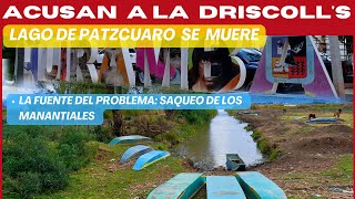 ACUSAN a la Driscoll's por SEQUÍA de Pátzcuaro - Huiramba - Manantiales de Huiramba en Crisis