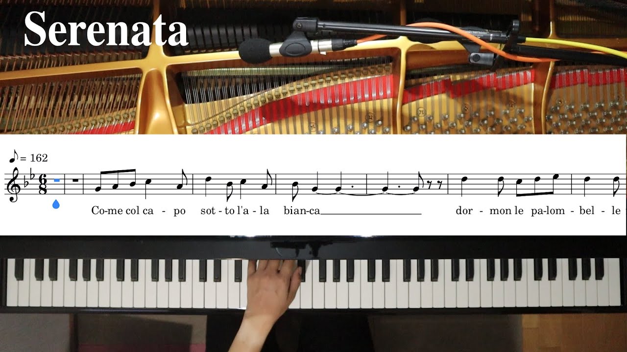 【ピアノ伴奏】Serenata/Mascagni《楽譜付き》