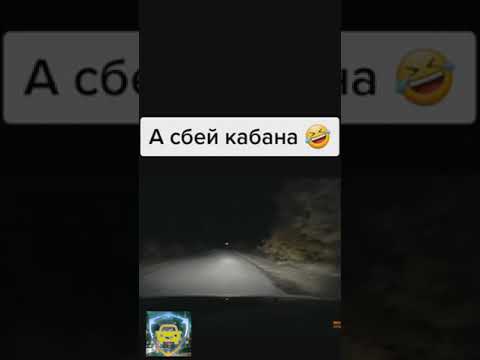 А сбей кабана - ЧЁ Дура совсем или чё 🤓🤓🤓 | Приколы часть 32 | Тик Ток #shorts