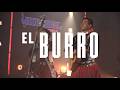 Huichol Musical - El Burro
