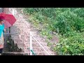 सीढ़ियों में नाला बन गया। बस करो भगवान जी अब l Heavy rain in shimla 😓